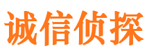 甘孜市调查公司